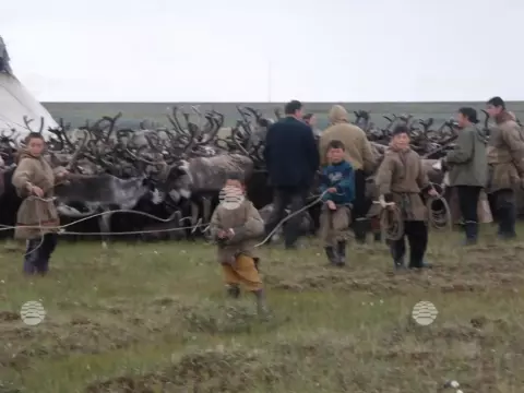 Бованенково, лето