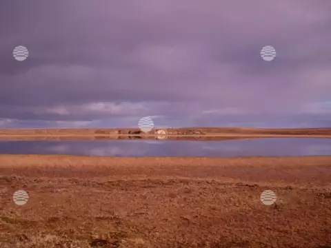 Бованенково, лето