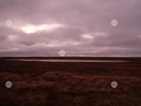 Бованенково, лето