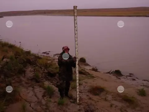 Бованенково, лето