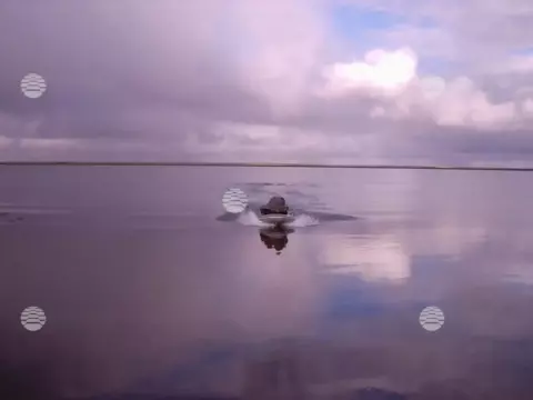 Бованенково, лето