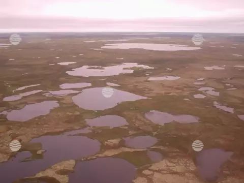Бованенково, лето