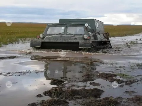 Бованенково, лето
