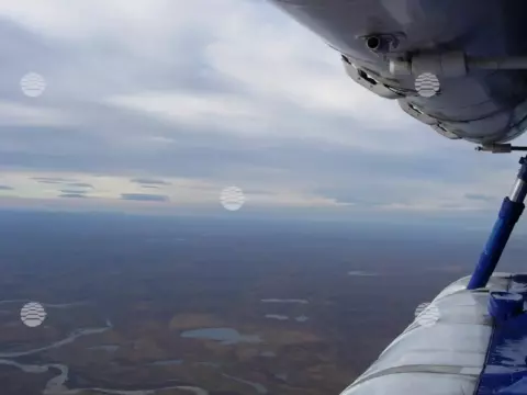 Бованенково, лето
