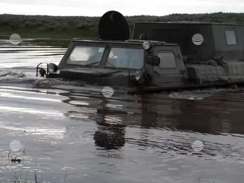 Бованенково, лето