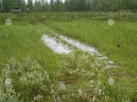 Бованенково, весна