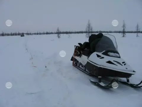 Бованенково, весна