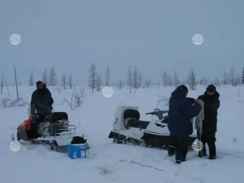 Бованенково, весна