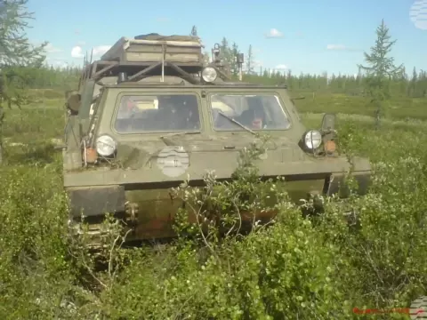 Главная