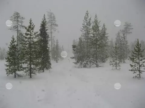 Чикшино, весна
