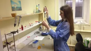 Лабораторные исследования грунтов