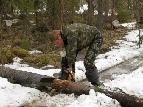 Малая Пера, весна
