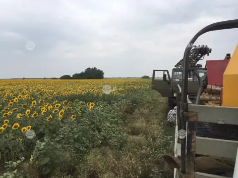 МНПП Самара-Волгоград