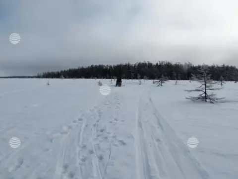 Ноглики (Сахалин), весна-осень