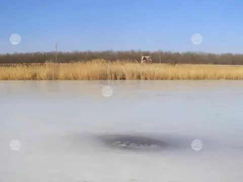 Новоалександровск, осень
