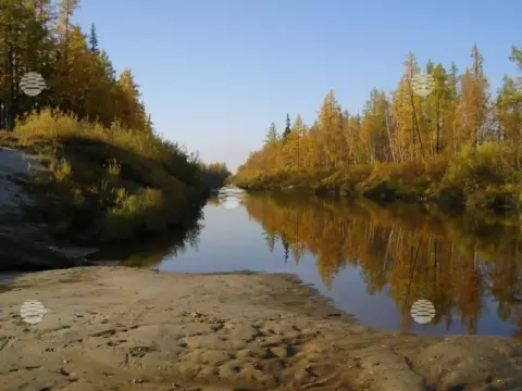 Новозаполярный, лето-осень