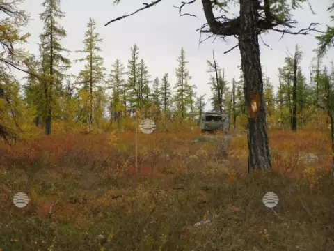 Новозаполярный, лето-осень