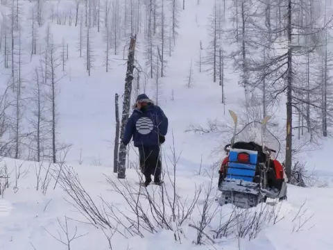 Новозаполярный, зима-весна