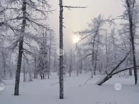Новозаполярный, зима-весна