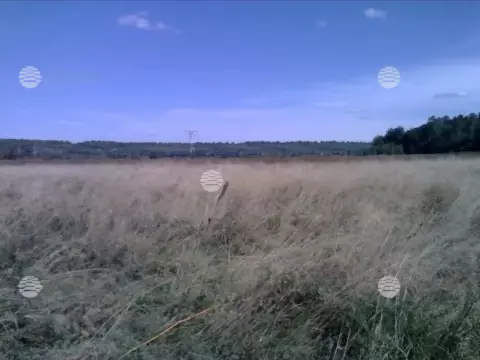 р. Сура, лето