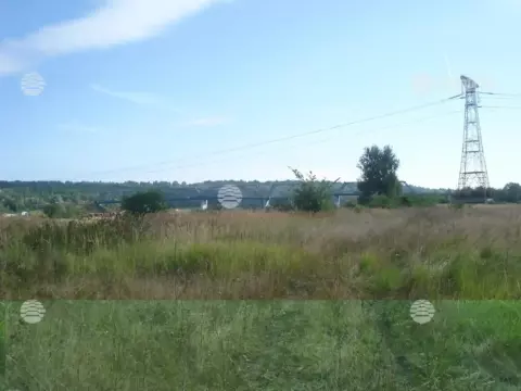 р. Сура, лето
