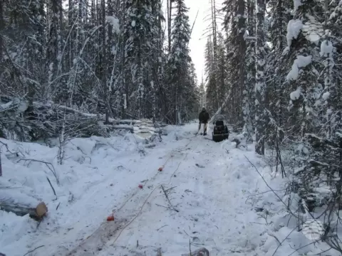 Сила Сибири