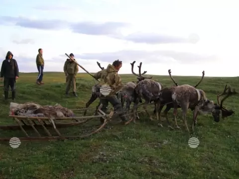 Воркута, лето-осень