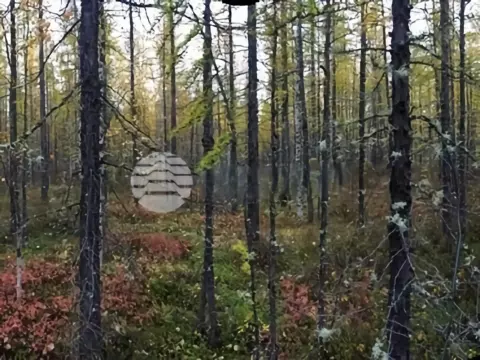Якутия