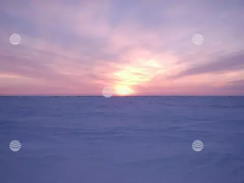 Ямбург, зима