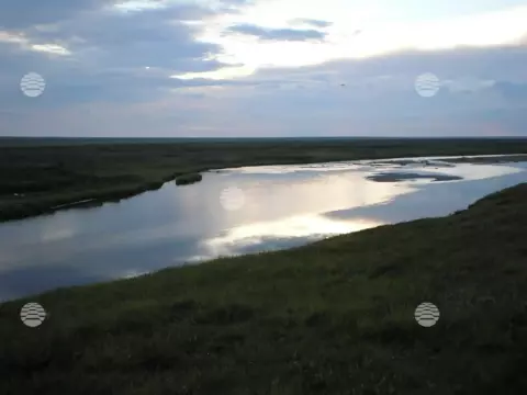 Яры, лето-осень
