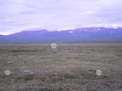 Яры, лето-осень