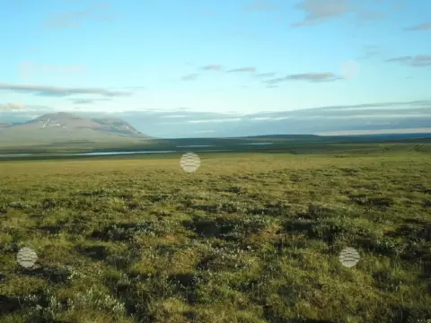 Яры, лето-осень