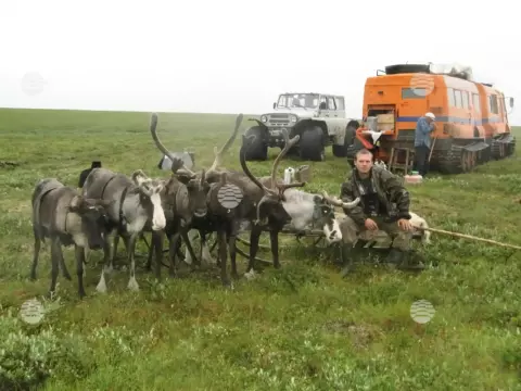 Лицензионное ПО